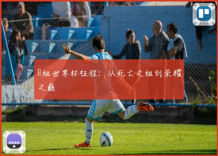 E组世界杯征程：从死亡之组到荣耀之巅
