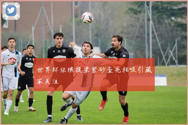 世界杯珐琅提梁紫砂壶亮相吸引藏家关注