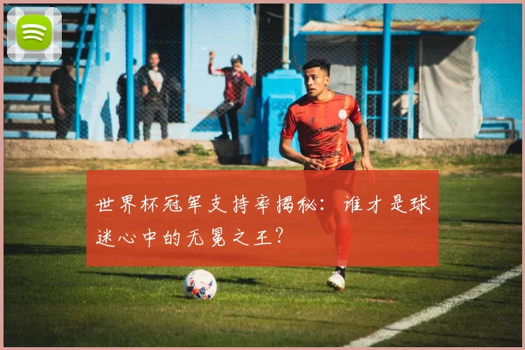 世界杯冠军支持率揭秘：谁才是球迷心中的无冕之王？