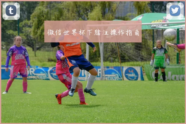 微信世界杯下赌注操作指南