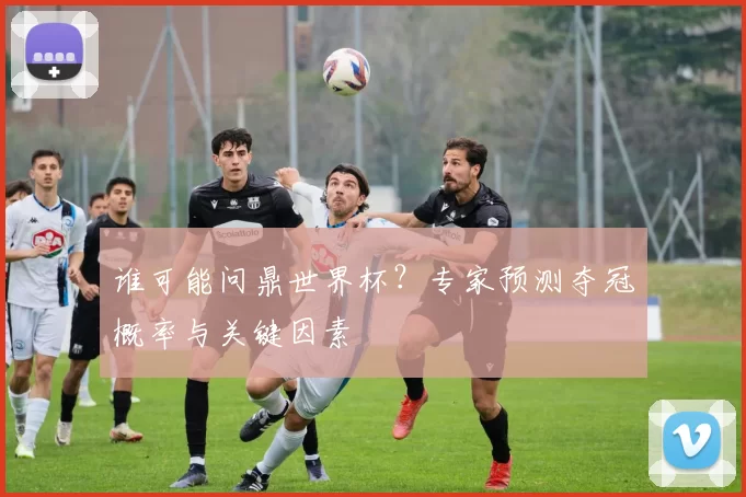 谁可能问鼎世界杯?专家预测夺冠概率与关键因素