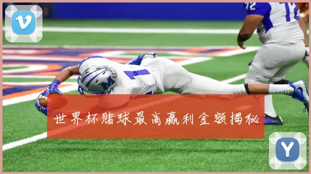 世界杯赌球最高赢利金额揭秘
