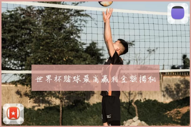 世界杯赌球最高赢利金额揭秘