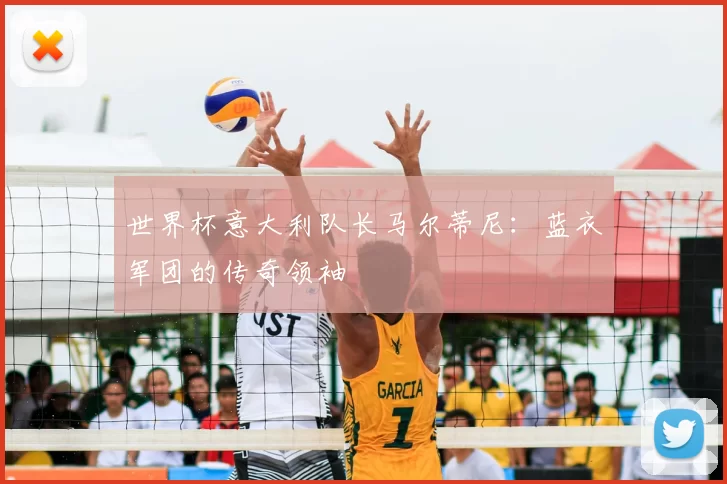 世界杯意大利队长马尔蒂尼:蓝衣军团的传奇领袖