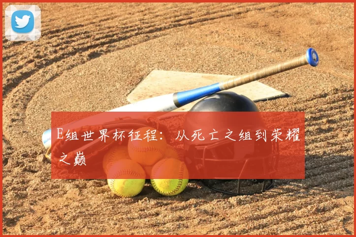 E组世界杯征程：从死亡之组到荣耀之巅