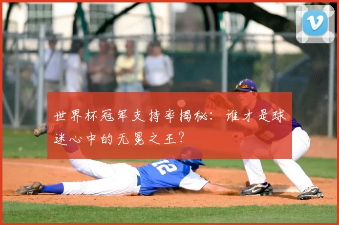 世界杯冠军支持率揭秘:谁才是球迷心中的无冕之王?