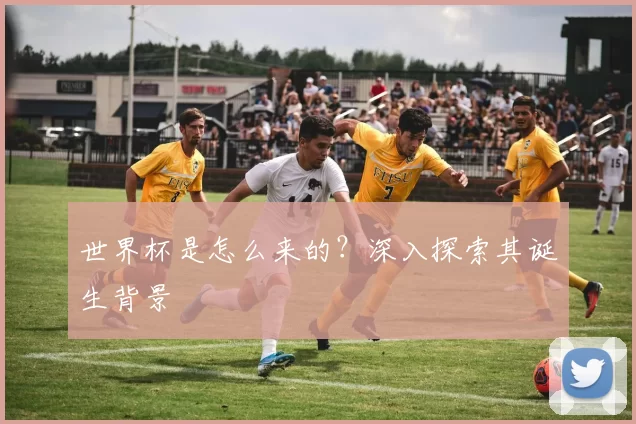 世界杯是怎么来的?深入探索其诞生背景