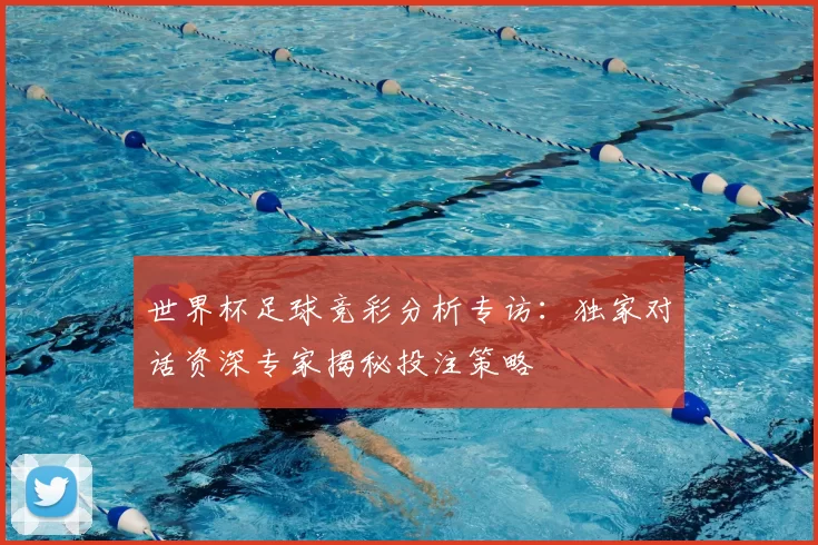 世界杯足球竞彩分析专访：独家对话资深专家揭秘投注策略