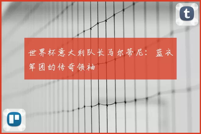 世界杯意大利队长马尔蒂尼:蓝衣军团的传奇领袖